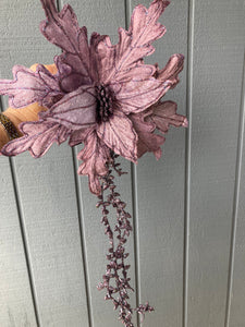 Purple Poinsettia with Tails