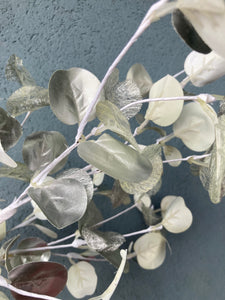 Eucalyptus Silvery Spray