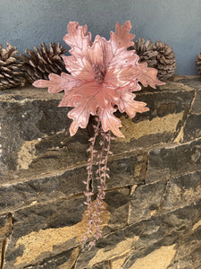 Pink Poinsettia with Tails