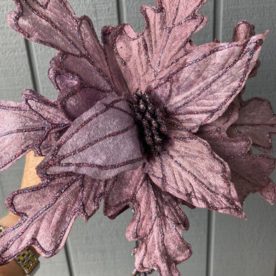 Purple Poinsettia with Tails