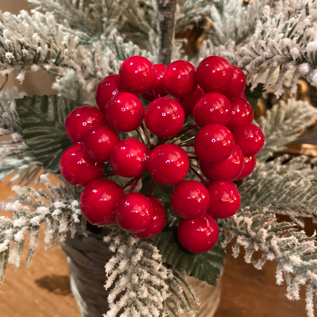 Red Berry Cluster Pick