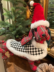 Tartan Dachshund Dog