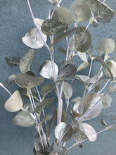 Load image into Gallery viewer, Eucalyptus Silvery Spray