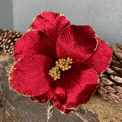 Burgundy Velvet Magnolia