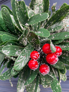 Frosted Hanging Berry Ball